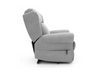 Carlton dual motor riser recliner chairs near me