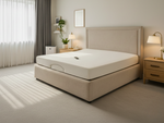 electric beds adjustable
adjustable beds
reclining bed
bed electric bed